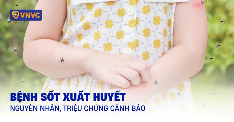 Hình ảnh minh họa khả năng bảo vệ của thuốc xịt muỗi y tế trước đàn muỗi vằn gây bệnh sốt xuất huyết